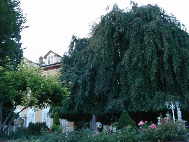 Park Hotel Villa Salzea Trofarello Exterior photo